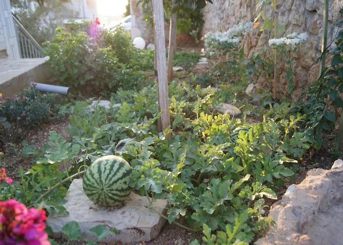 Milo Apartamento Vuno